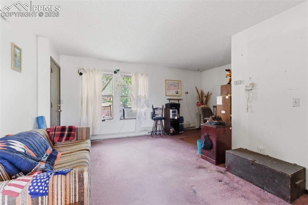 1921 E Dale Street Colorado Springs CO 80909