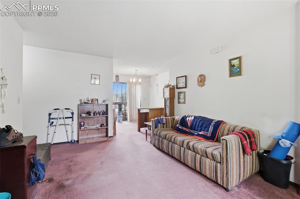1921 E Dale Street Colorado Springs CO 80909