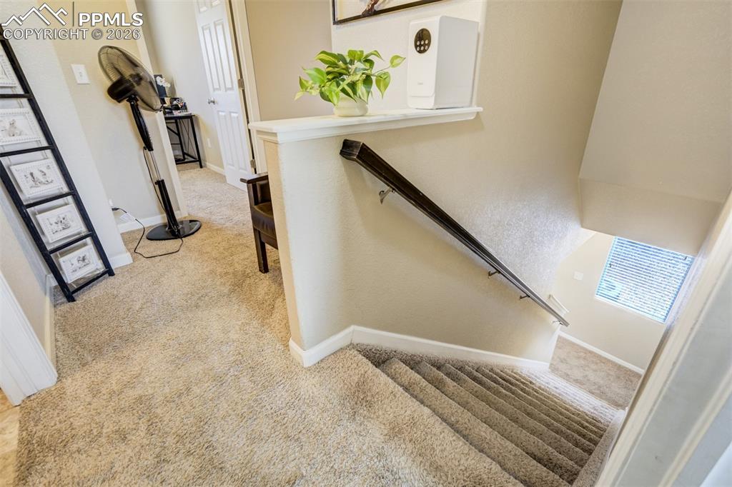 4125 Rosalie Street Colorado Springs CO 80917