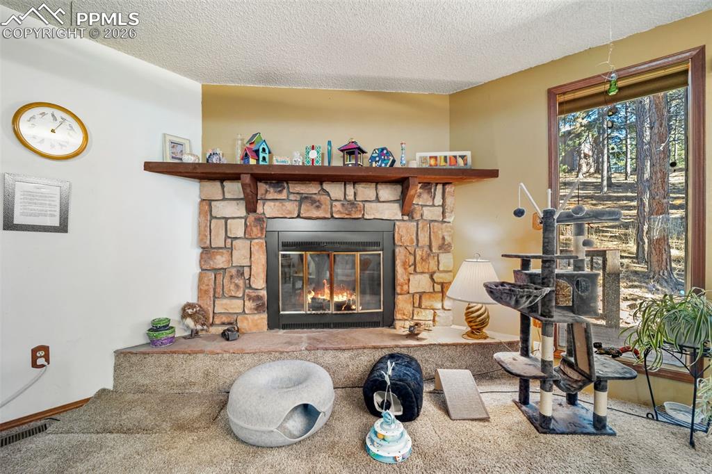 554 Manor Court Woodland Park CO 80863