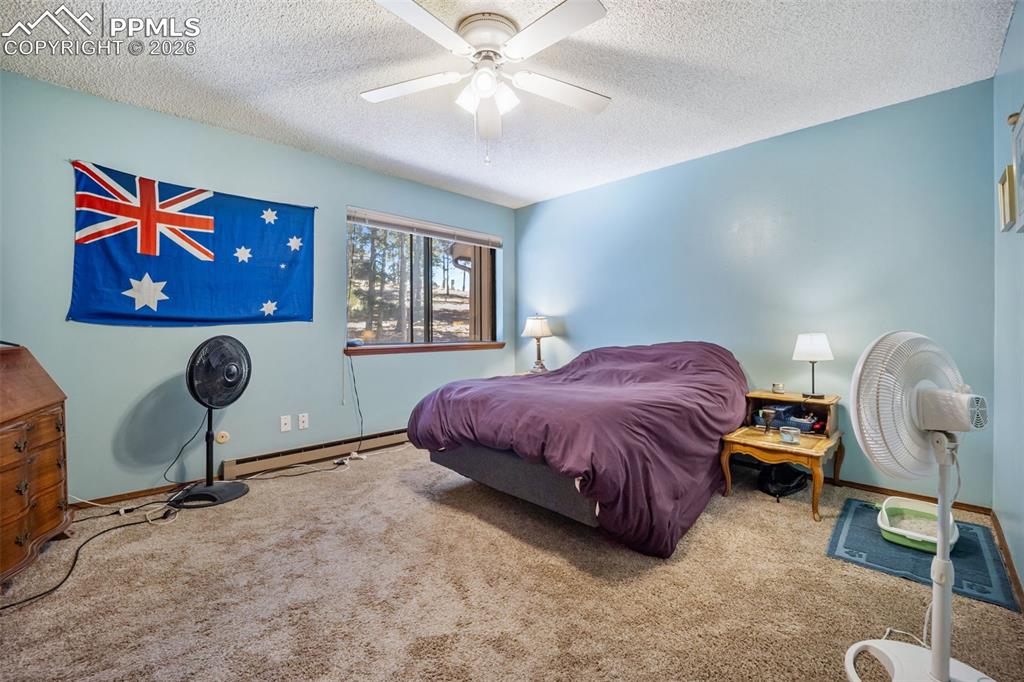 554 Manor Court Woodland Park CO 80863