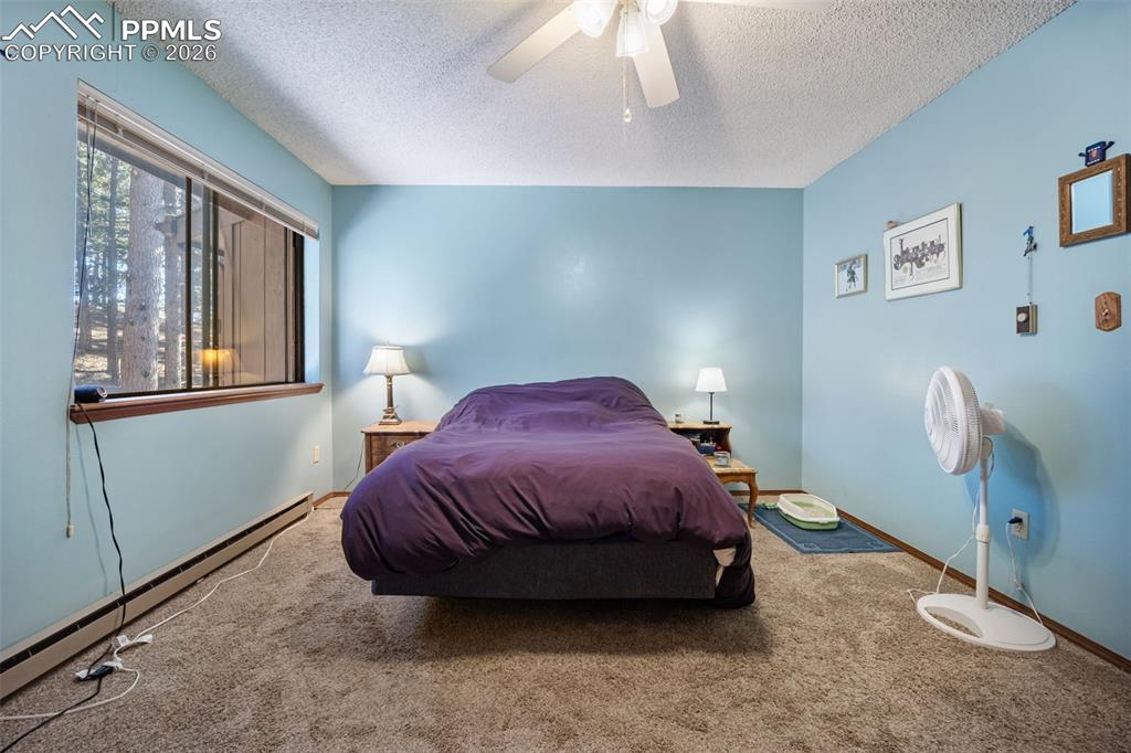 554 Manor Court Woodland Park CO 80863