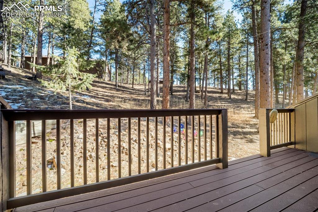 554 Manor Court Woodland Park CO 80863