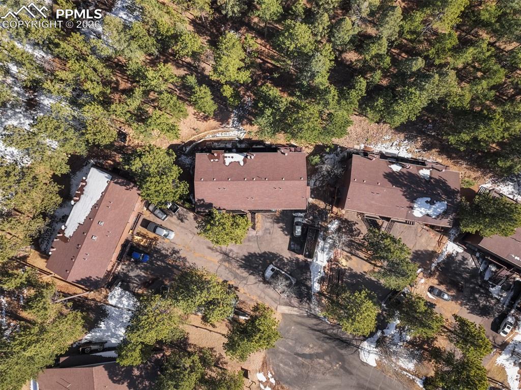 554 Manor Court Woodland Park CO 80863