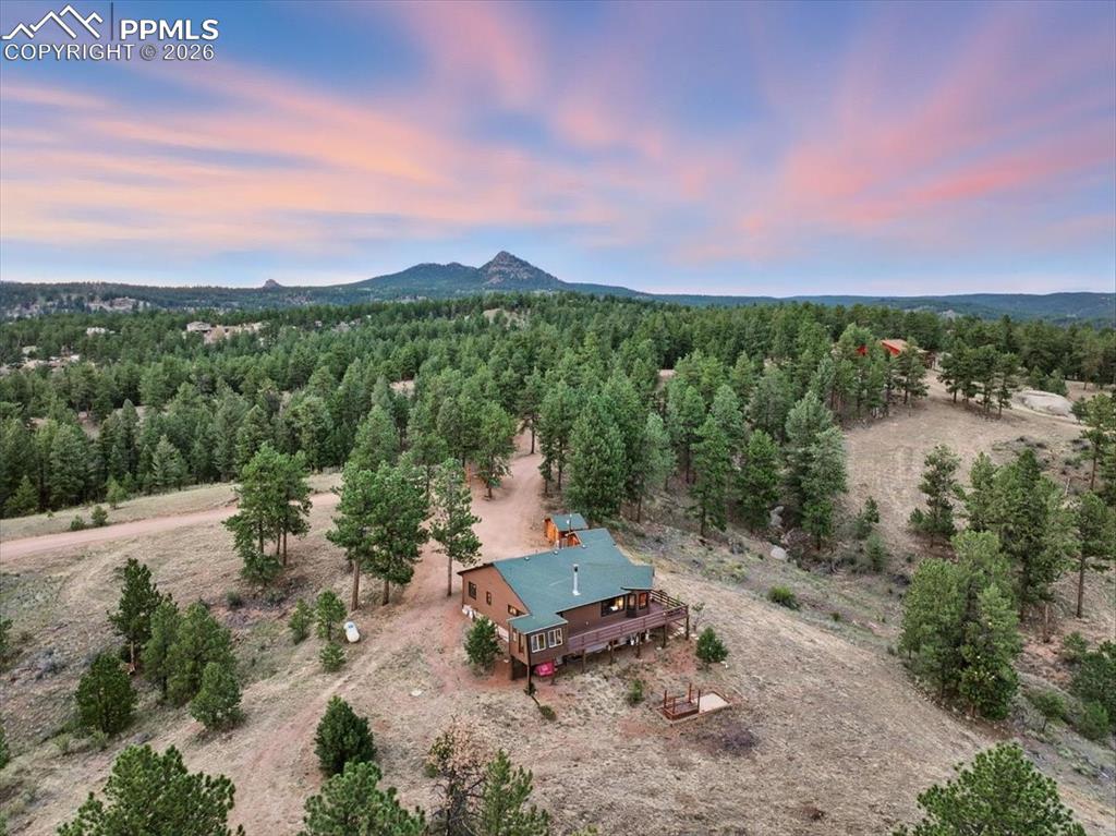 1721 Wildhorn Road Florissant CO 80816