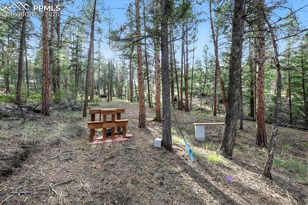 1721 Wildhorn Road Florissant CO 80816