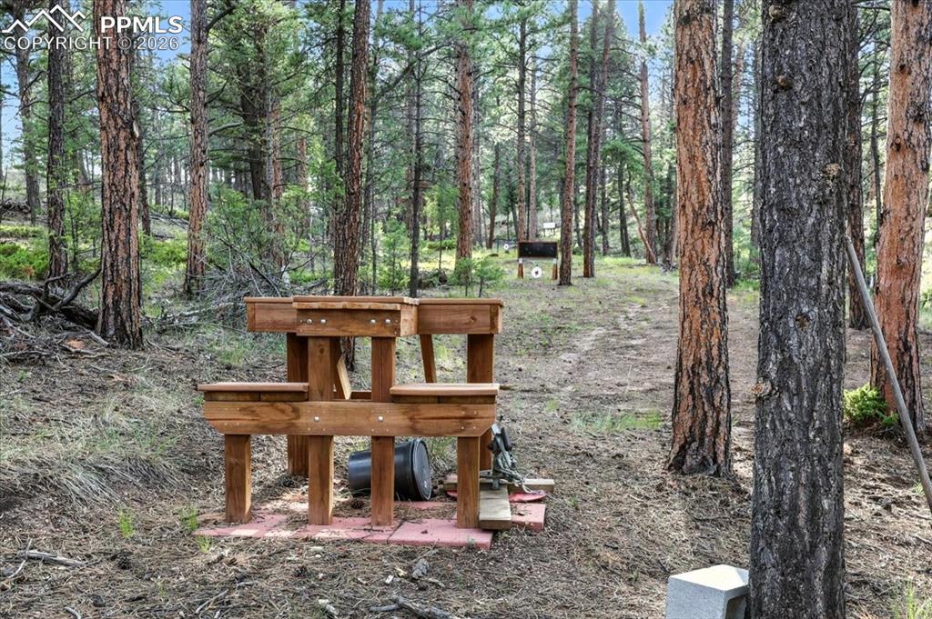 1721 Wildhorn Road Florissant CO 80816