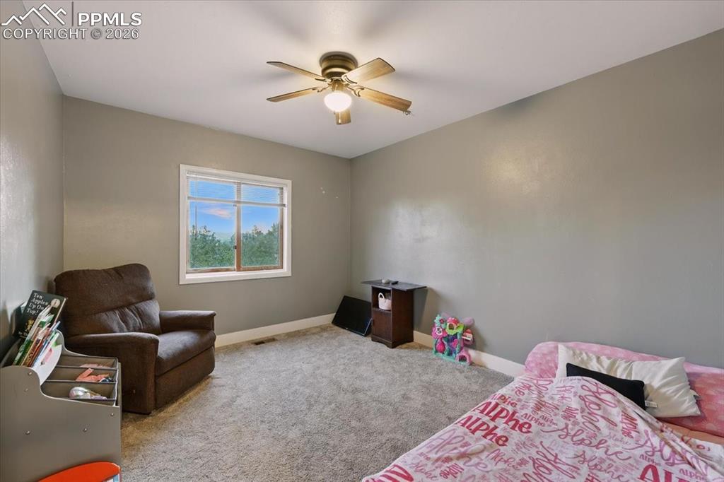 1721 Wildhorn Road Florissant CO 80816