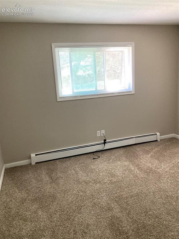 403 Mountain View Place Woodland Park CO 80863