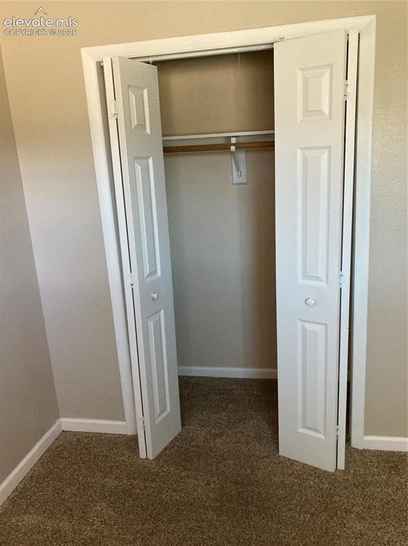 403 Mountain View Place Woodland Park CO 80863