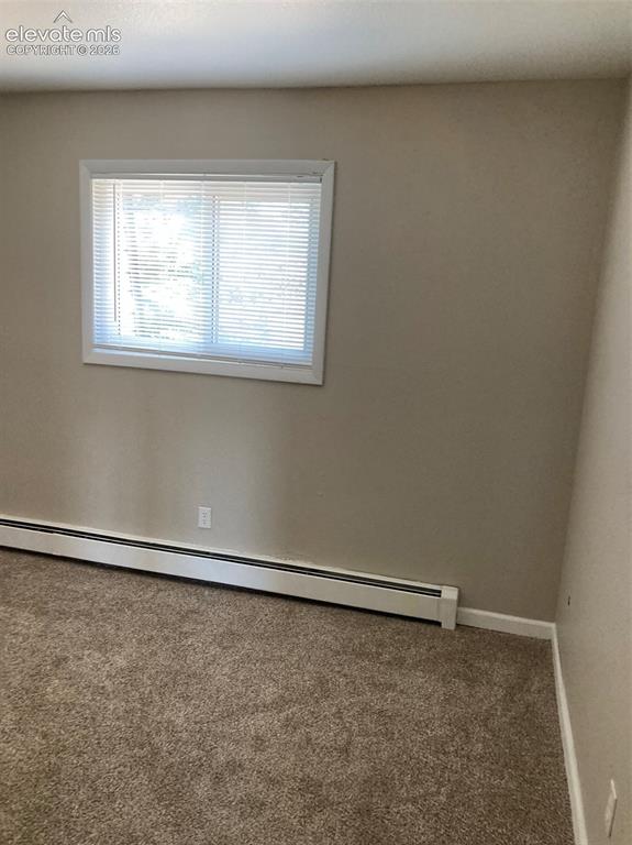 403 Mountain View Place Woodland Park CO 80863