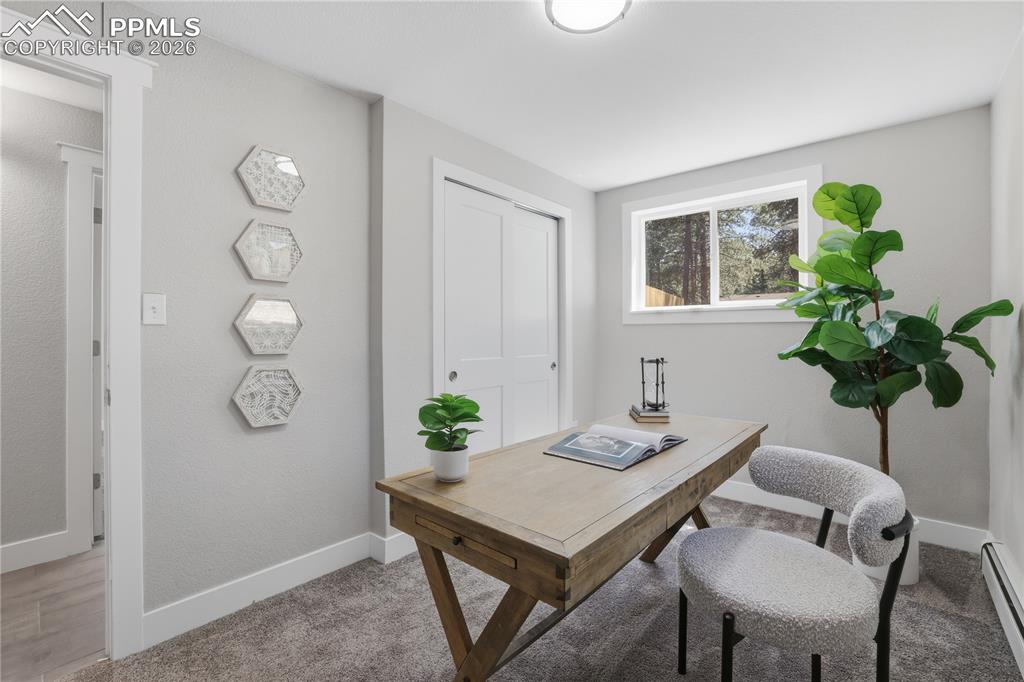 307 Evergreen Street Woodland Park CO 80863