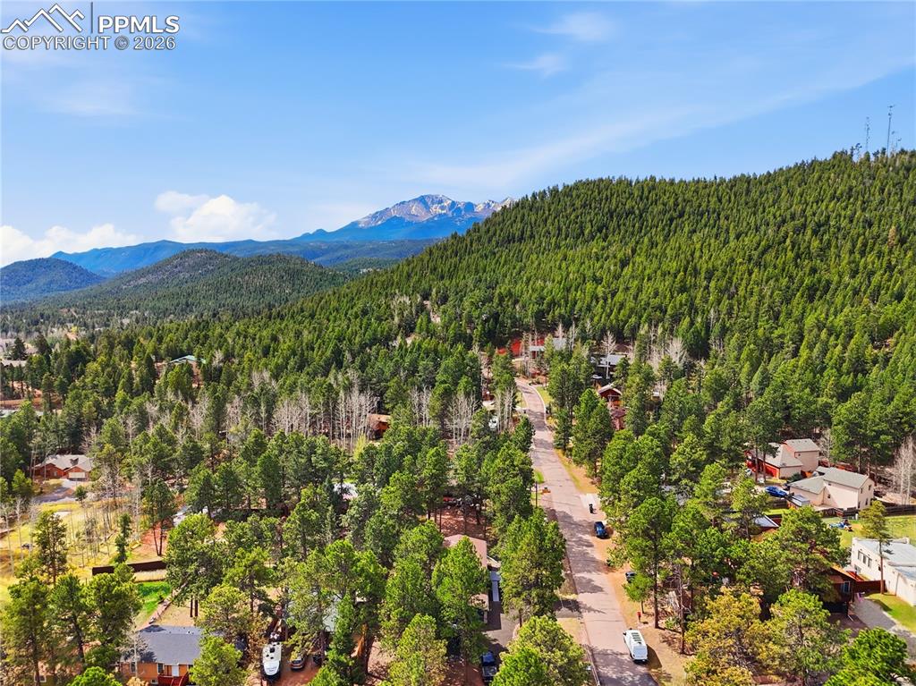 307 Evergreen Street Woodland Park CO 80863