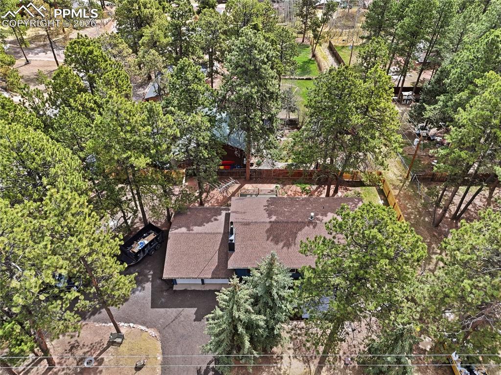 307 Evergreen Street Woodland Park CO 80863