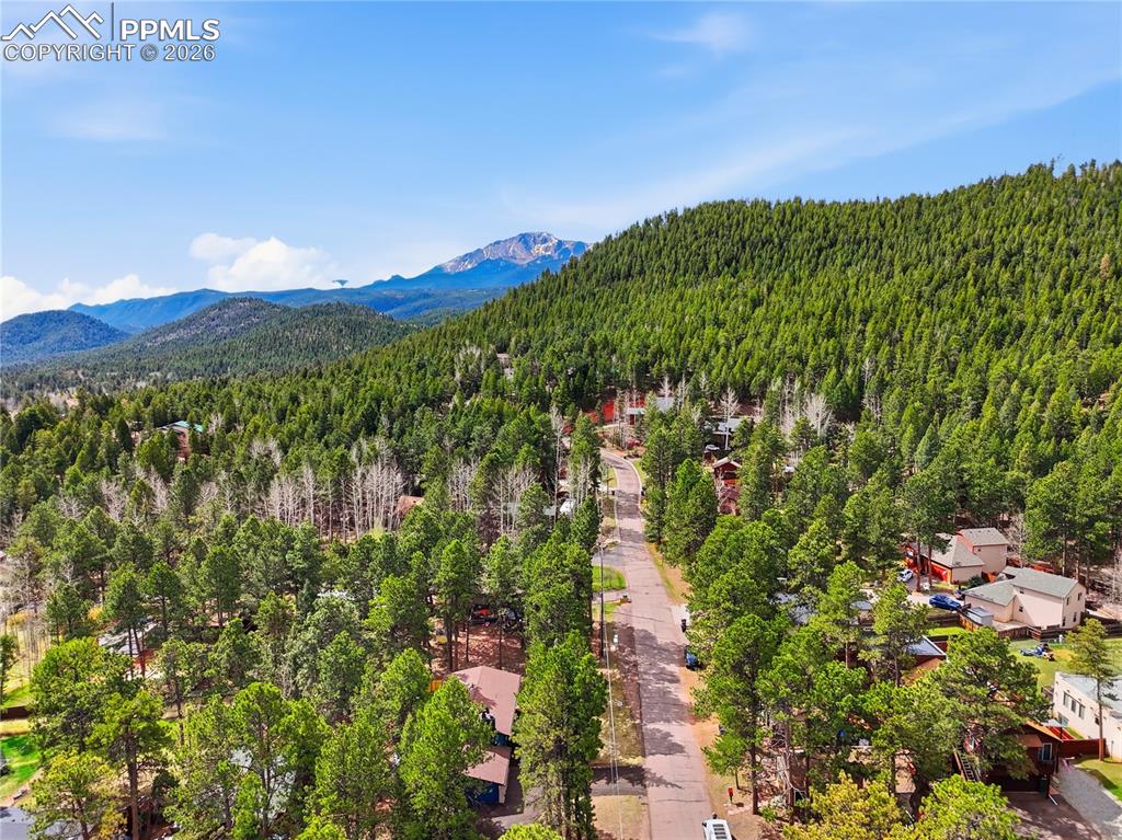 307 Evergreen Street Woodland Park CO 80863