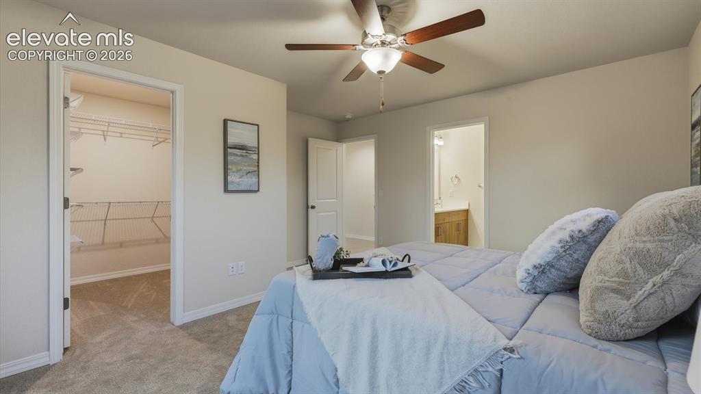 1217 Custer Avenue Colorado Springs CO 80903