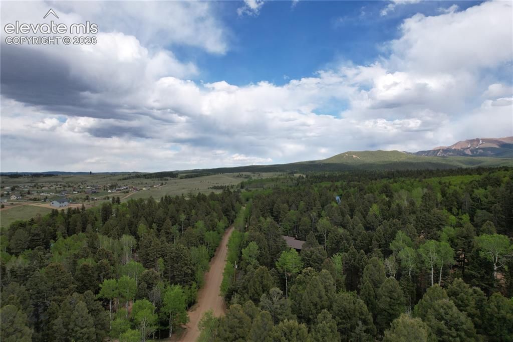 776 Jolly Rogue Drive Divide CO 80814