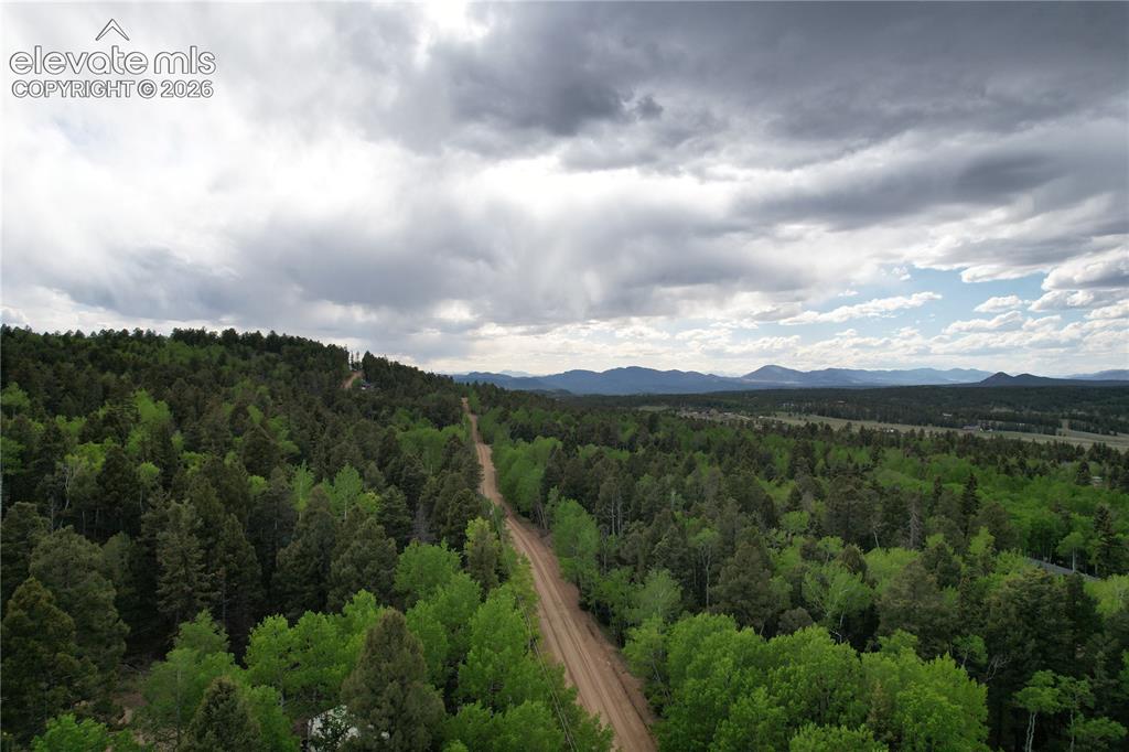 776 Jolly Rogue Drive Divide CO 80814