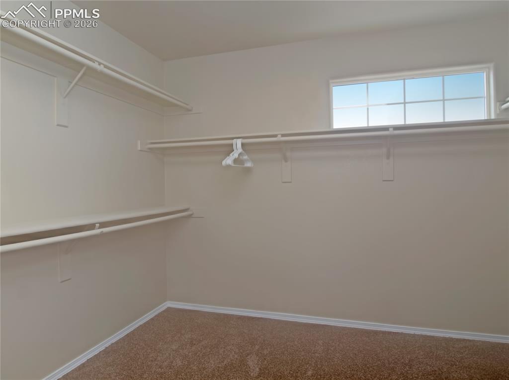4806 Rusty Nail Point Colorado Springs CO 80916
