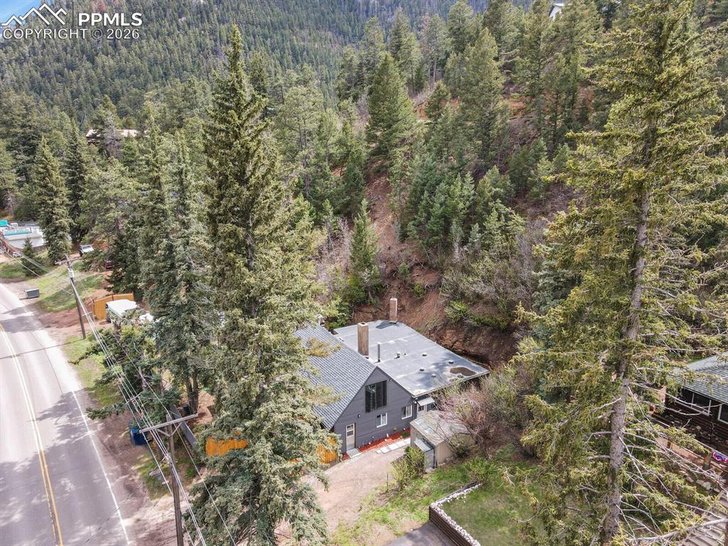 4540 Fountain Avenue Cascade CO 80809