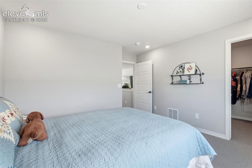 5989 Bennach Grove Colorado Springs CO 80927