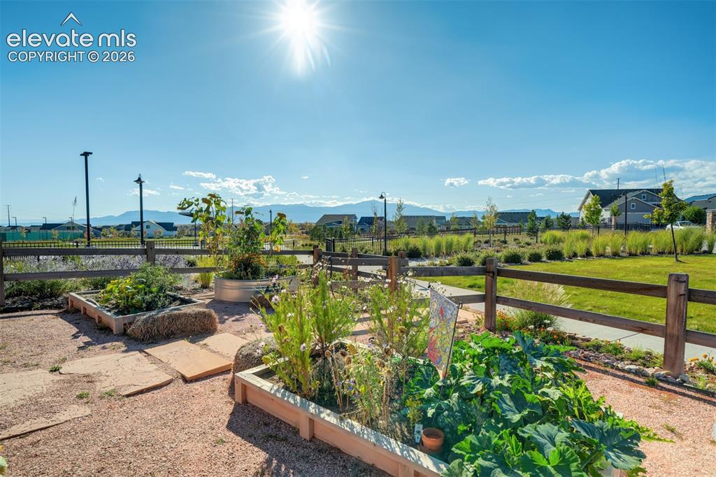 5989 Bennach Grove Colorado Springs CO 80927