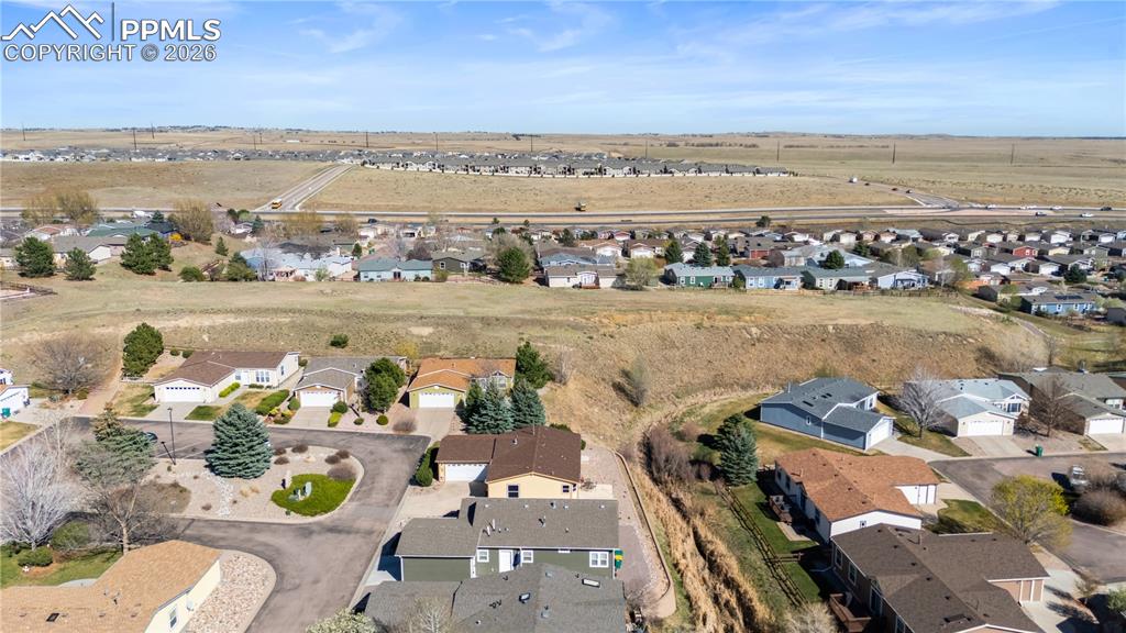 7647 Black Bear Point Colorado Springs CO 80922