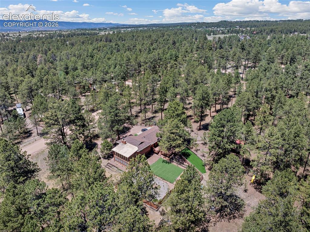 11755 Timberlane Court Colorado Springs CO 80908