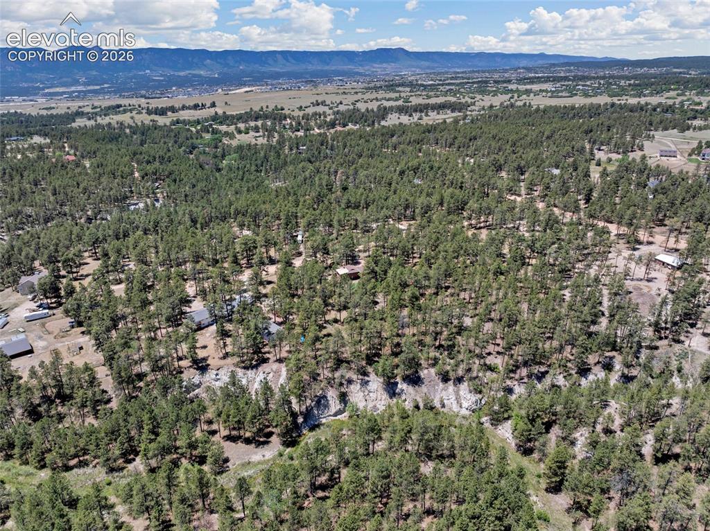 11755 Timberlane Court Colorado Springs CO 80908