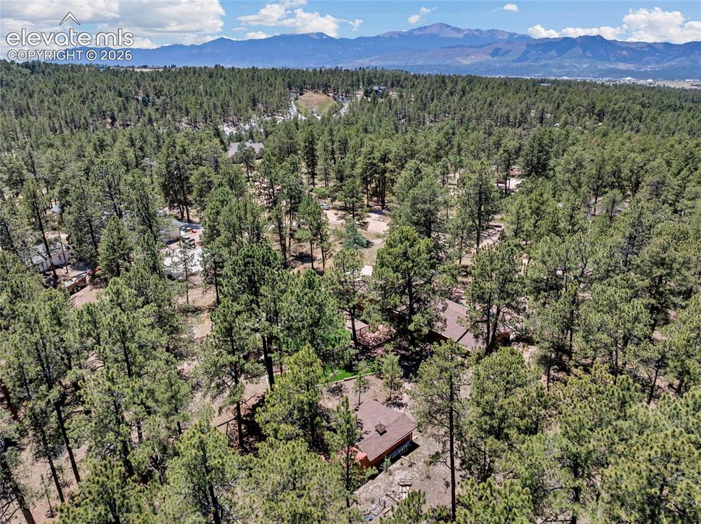 11755 Timberlane Court Colorado Springs CO 80908