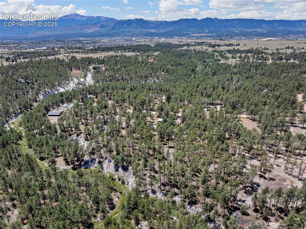 11755 Timberlane Court Colorado Springs CO 80908