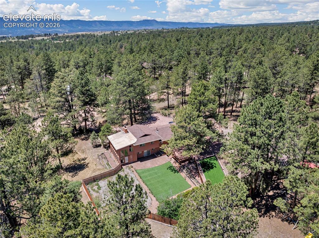 11755 Timberlane Court Colorado Springs CO 80908