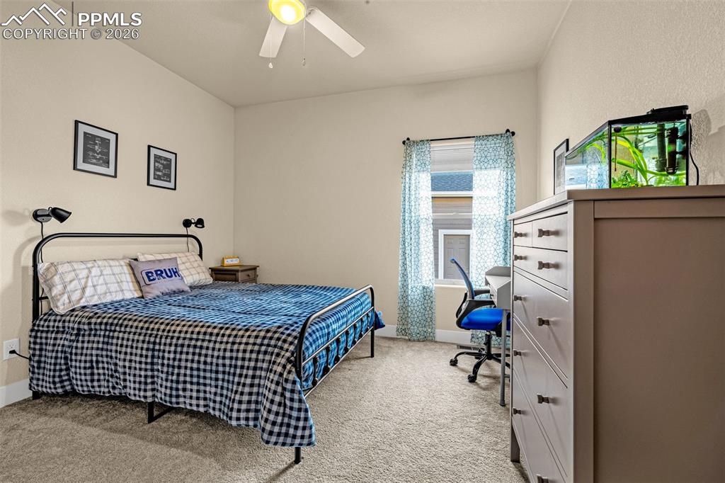 6161 Harmonica Arch Drive Colorado Springs CO 80924