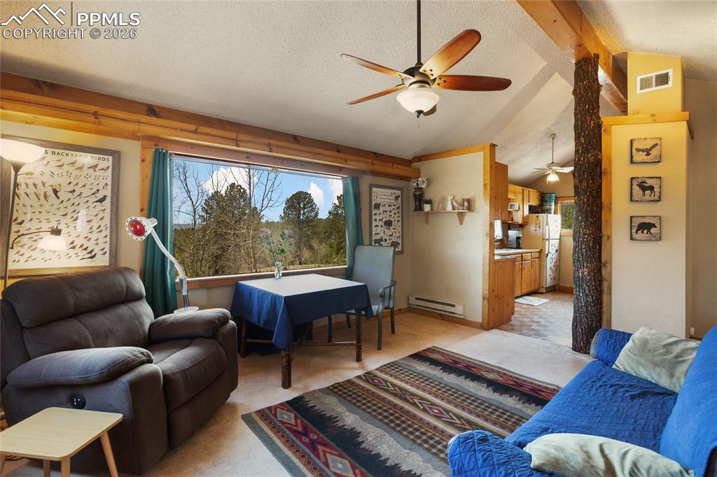 79 Beaver Creek Circle Florissant CO 80816