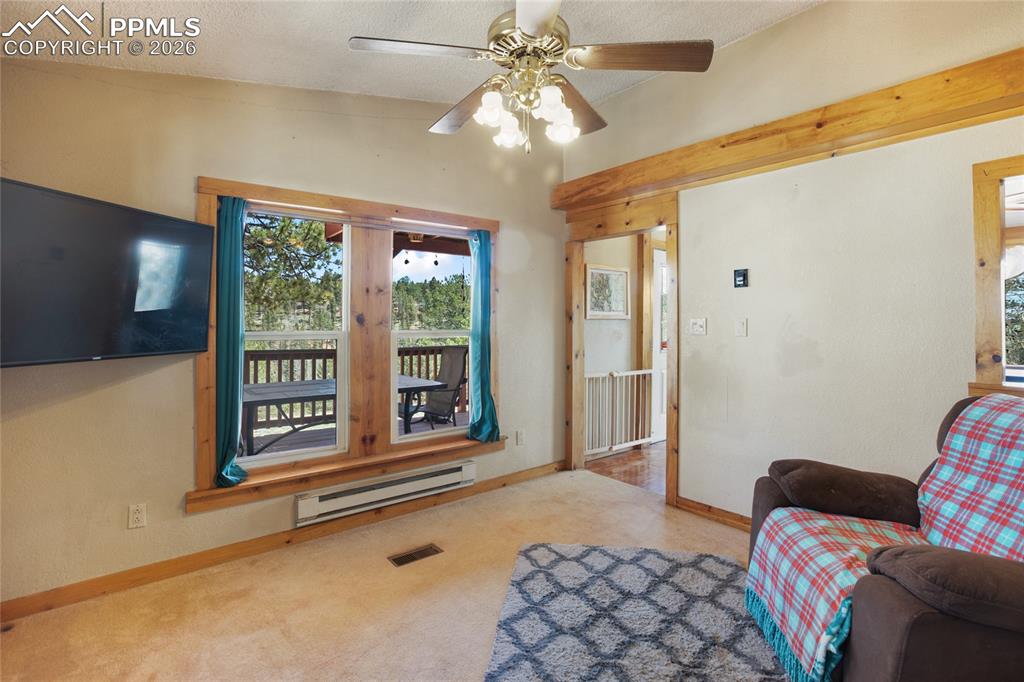 79 Beaver Creek Circle Florissant CO 80816