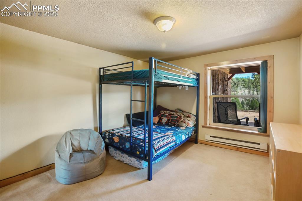 79 Beaver Creek Circle Florissant CO 80816