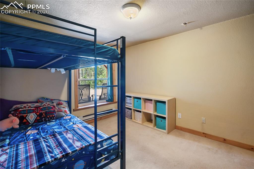 79 Beaver Creek Circle Florissant CO 80816