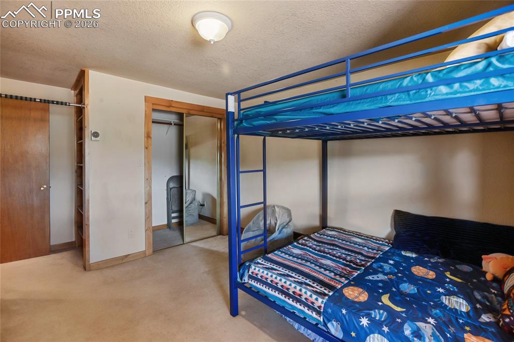 79 Beaver Creek Circle Florissant CO 80816
