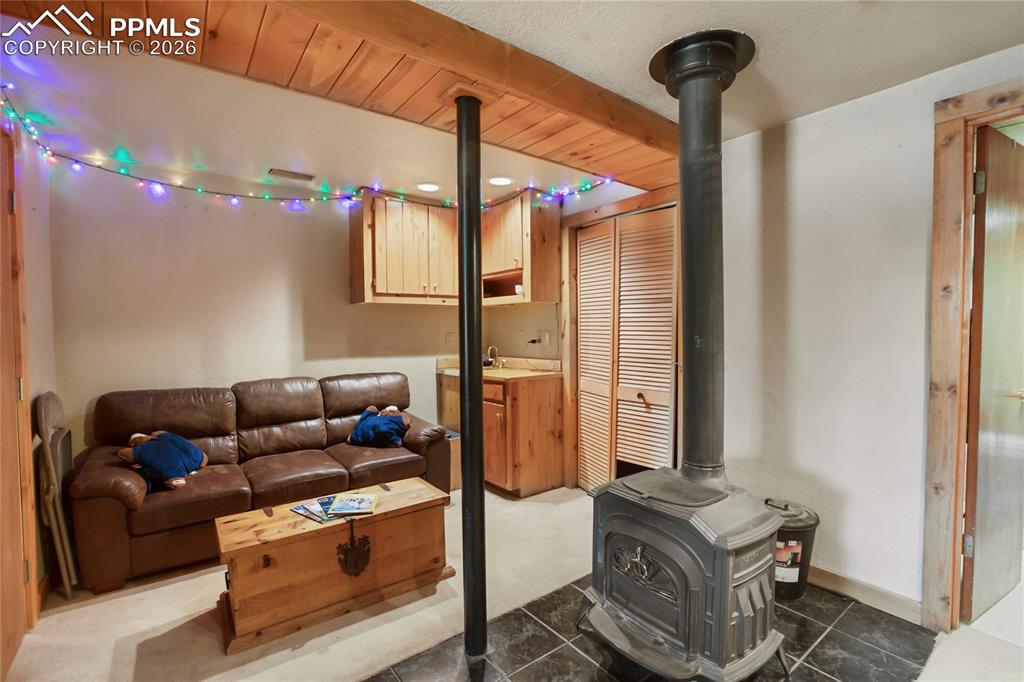 79 Beaver Creek Circle Florissant CO 80816