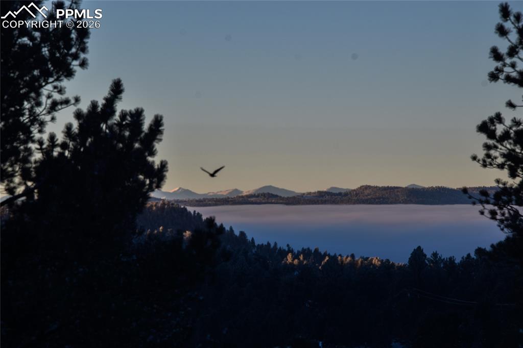 79 Beaver Creek Circle Florissant CO 80816