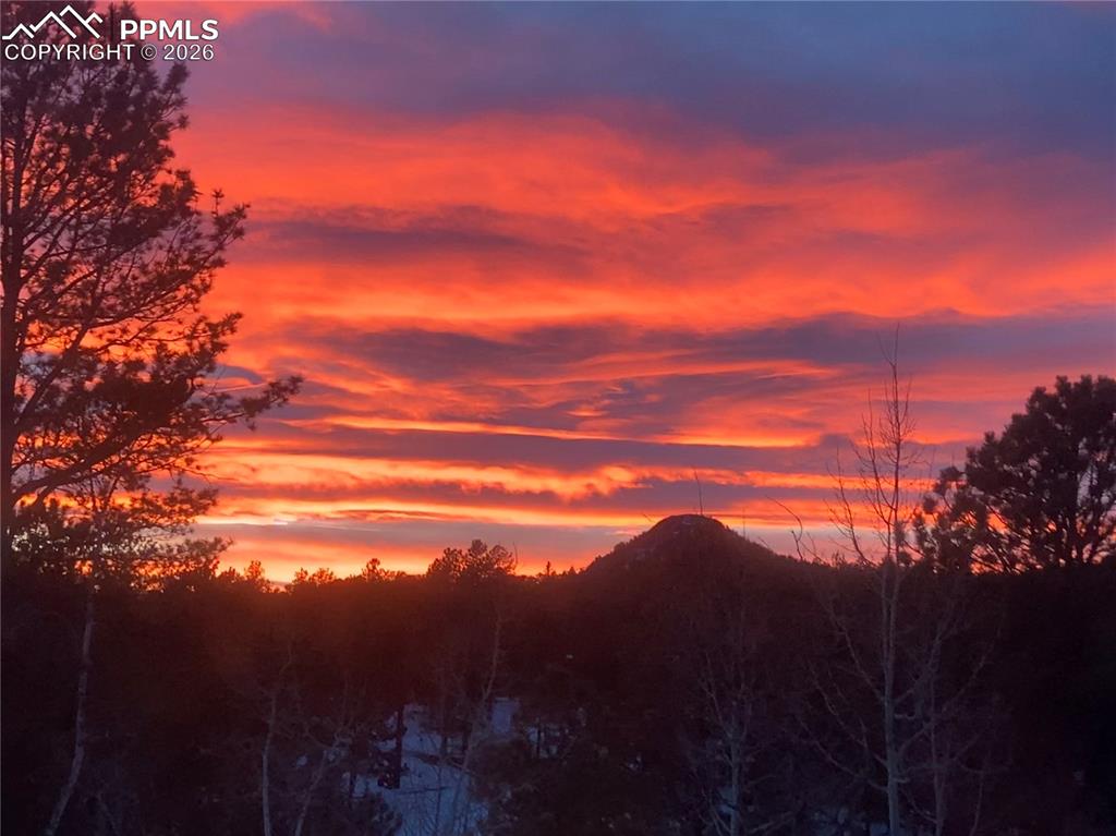 79 Beaver Creek Circle Florissant CO 80816