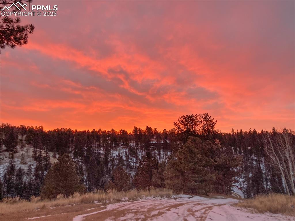 79 Beaver Creek Circle Florissant CO 80816