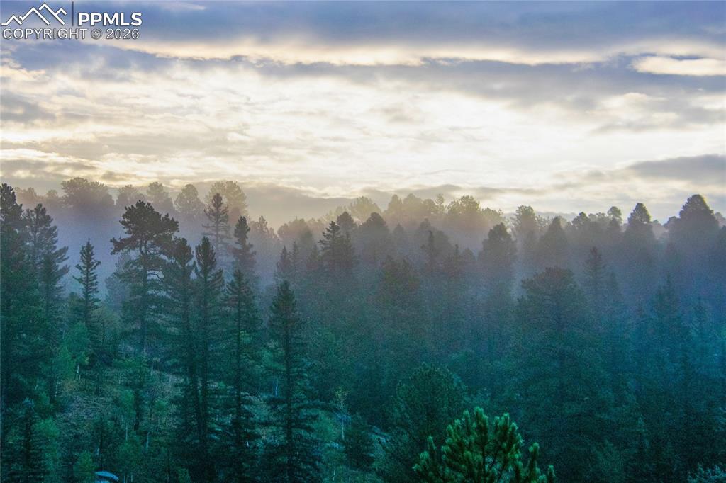 79 Beaver Creek Circle Florissant CO 80816