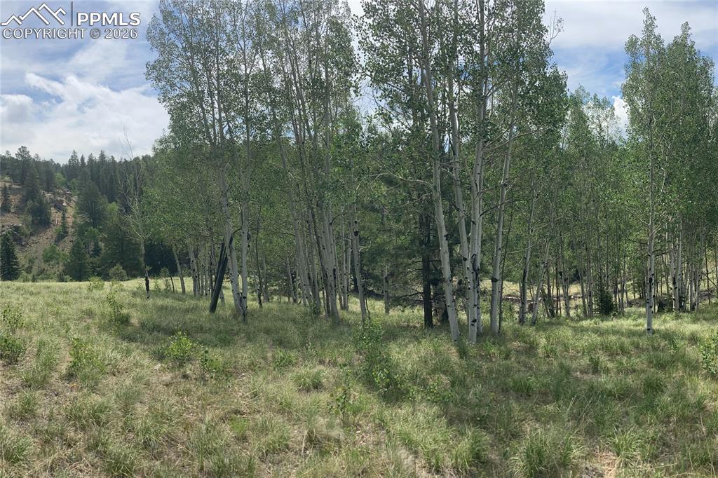 79 Beaver Creek Circle Florissant CO 80816
