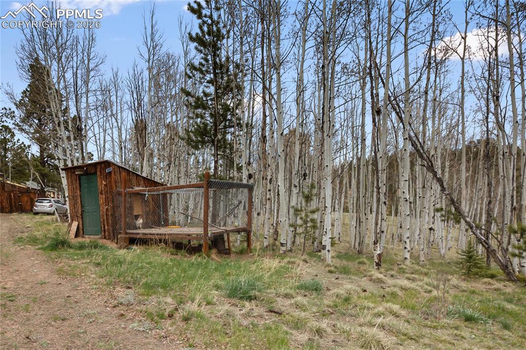 79 Beaver Creek Circle Florissant CO 80816