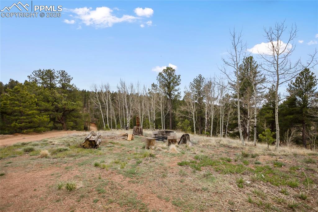 79 Beaver Creek Circle Florissant CO 80816
