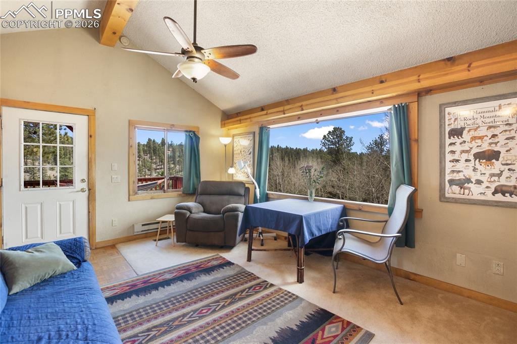 79 Beaver Creek Circle Florissant CO 80816