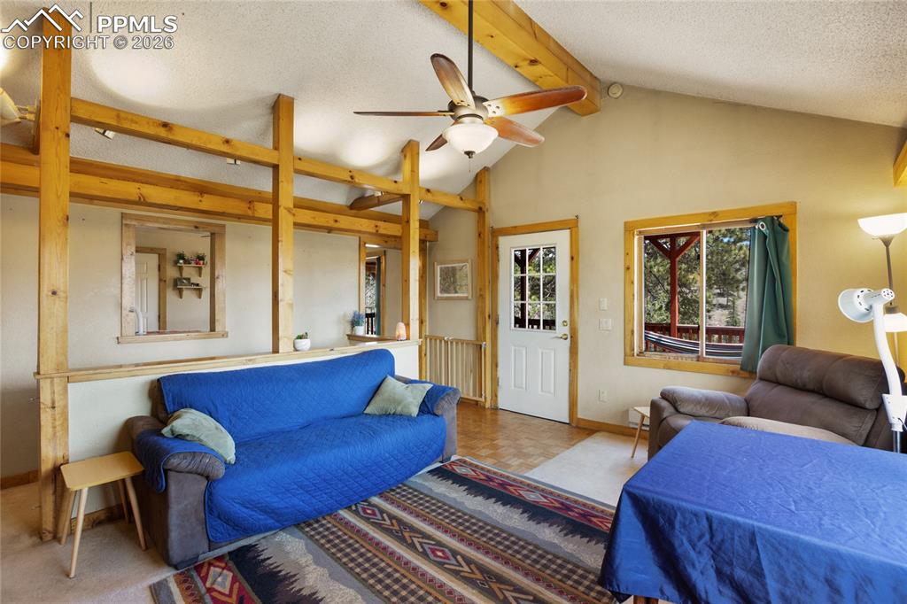 79 Beaver Creek Circle Florissant CO 80816