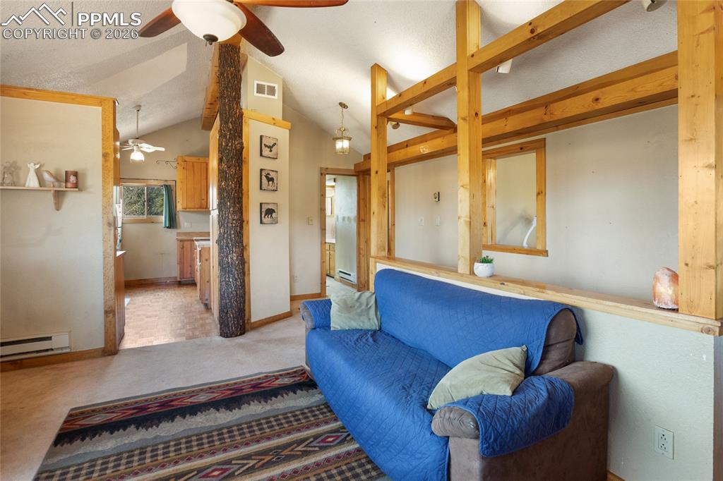 79 Beaver Creek Circle Florissant CO 80816