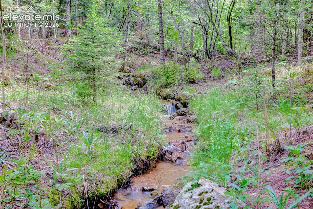 5145 Neeper Valley Road Manitou Springs CO 80829